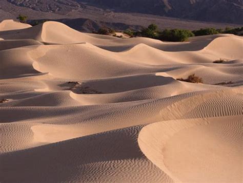 沙中土命是什麼意思 夢見大風大雨